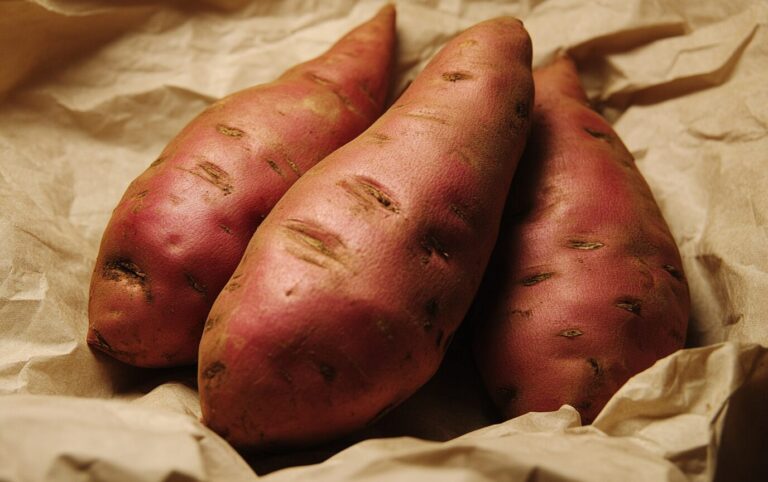 Classic Sweet Potato Custard_post1