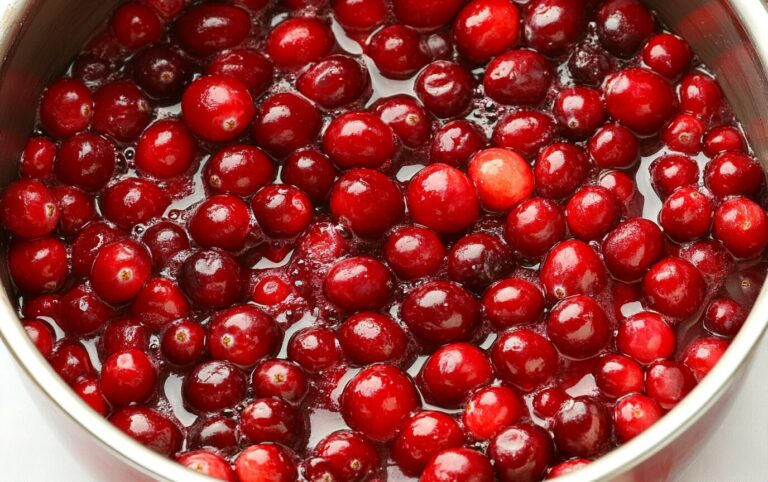 Cranberry Harvest Pie_post4