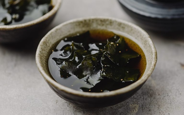 Udon Shoyu Chicken Bow_post4