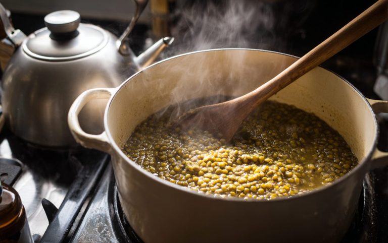 creamy mung bean stew post