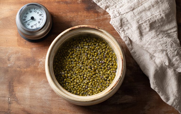 summer mung bean squares post